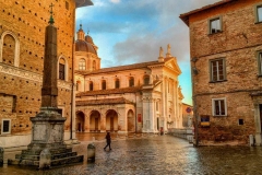 Urbino