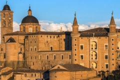 Urbino